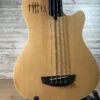 Godin A4 Fretless Semi-Acoustic Bass Guitar