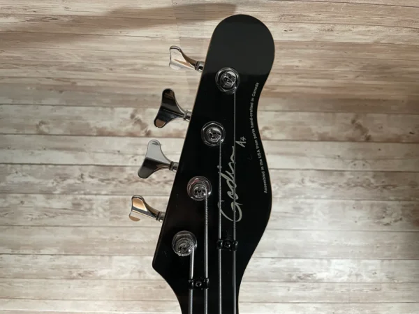 Godin A4 Fretless Semi-Acoustic Bass Guitar