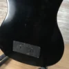 Godin A4 Fretless Semi-Acoustic Bass Guitar