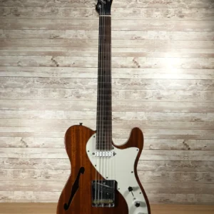 Custom Thinline Partscaster Used