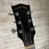 Gold Tone CC Six-String Acoustic Electric Banjitar Used