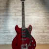 Yamaha SA503TVL Troy Van Leeuwen